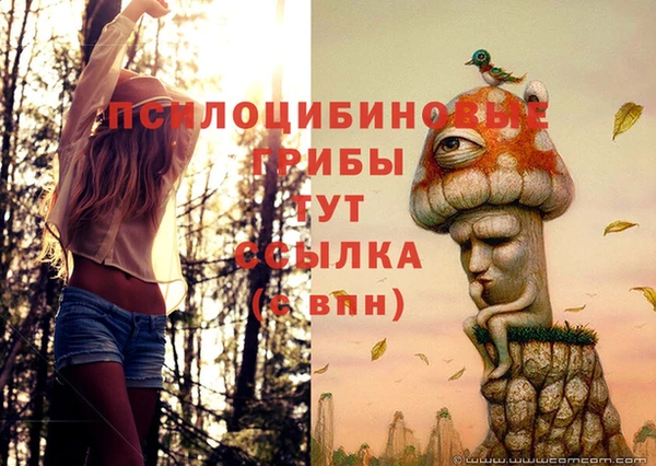 сатива Майский