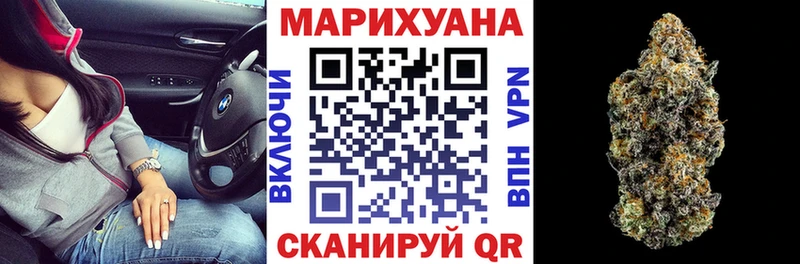 Конопля гибрид  Купить где  Энем 