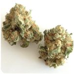 Шишки "White Widow"  (Белая вдова)  Гидропоника -  Бошка VHQ в Энеме